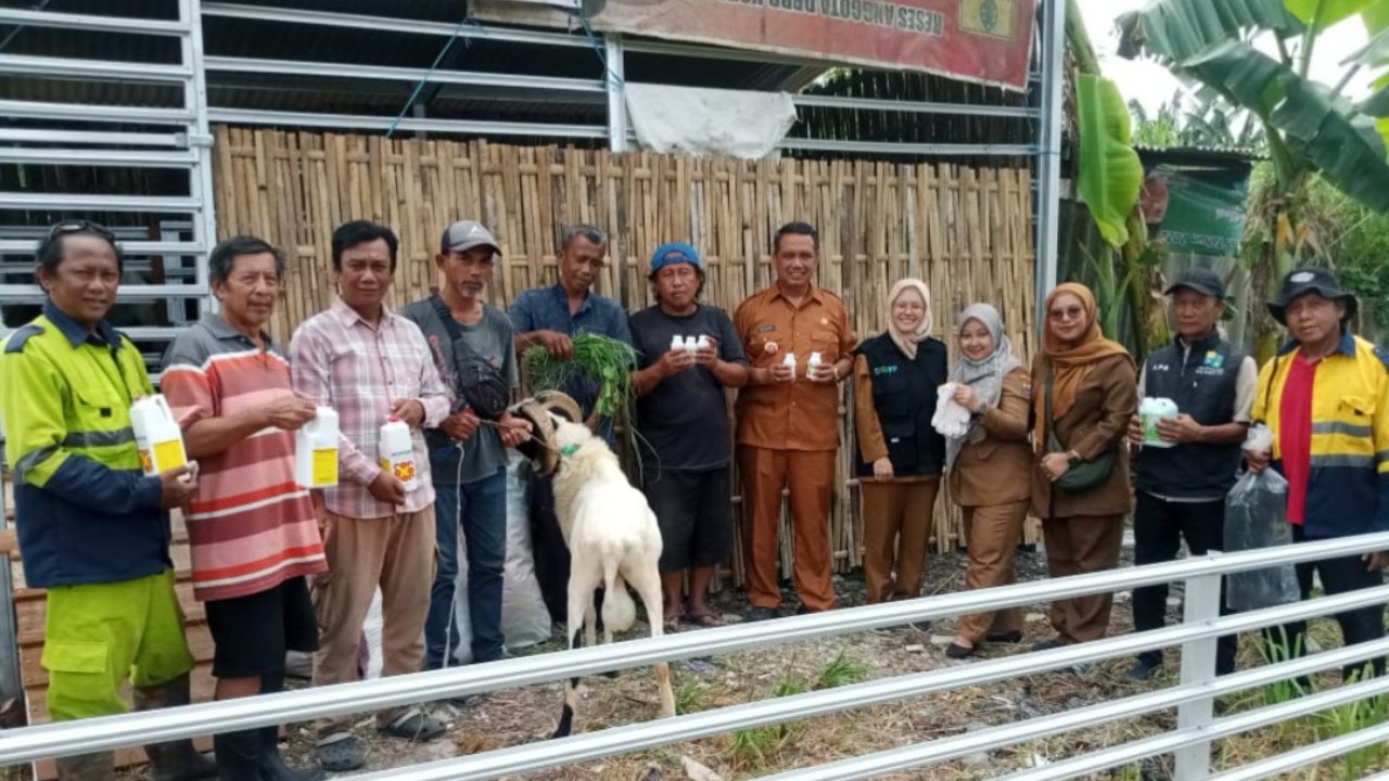 Penyerahan Bantuan Domba dan Sarana Peternakan