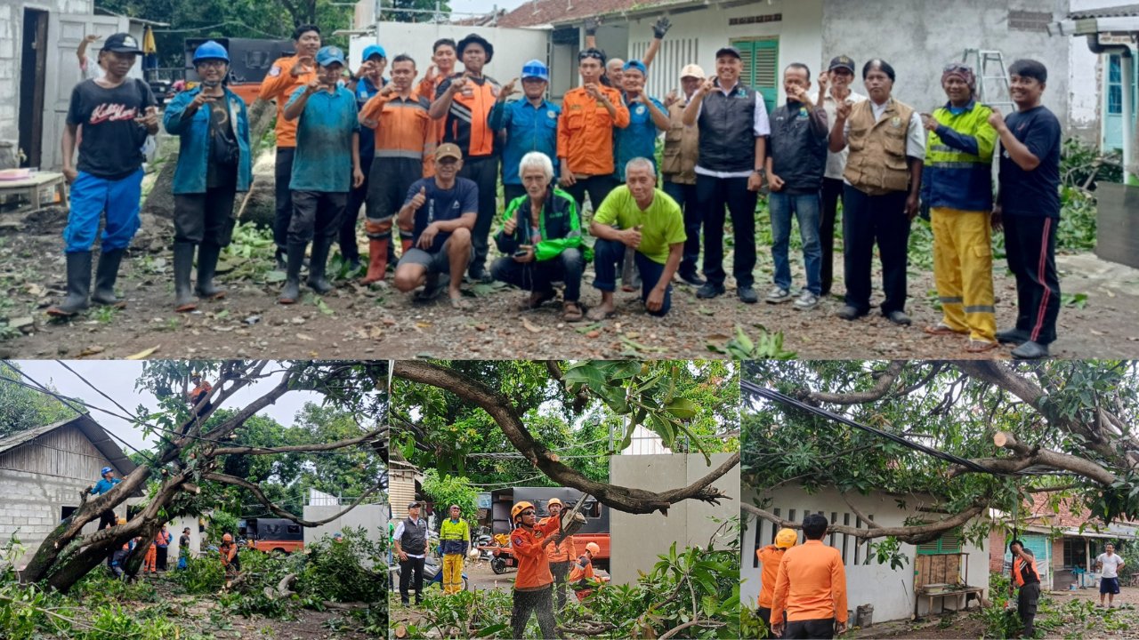 Kegiatan pembersihan pohon tumbang di wilayah RT 04 RW 02 Gunungsari Dalam, Kelurahan Pekiringan, sebagai langkah cepat dan tanggap dalam penanganan dampak cuaca ekstrem
