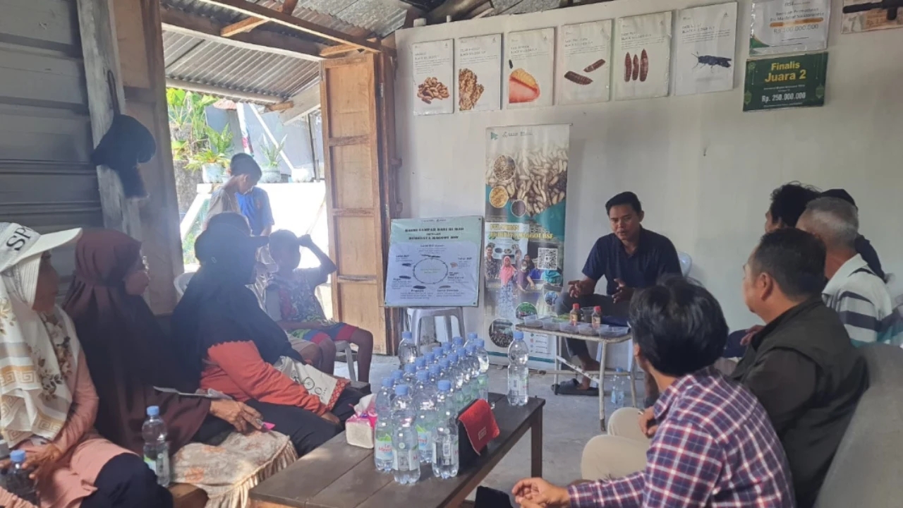 Pelatihan Budidaya Maggot BSF untuk Pengelolaan Sampah Rumah Tangga