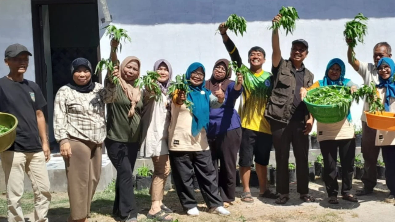 Panen Kangkung KWT RW. 11 Sidamulya Selatan Kelurahan Pekiringan